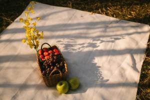 Cool Down and Slim Down: Nutritious Summer Foods for Health and Weight Loss