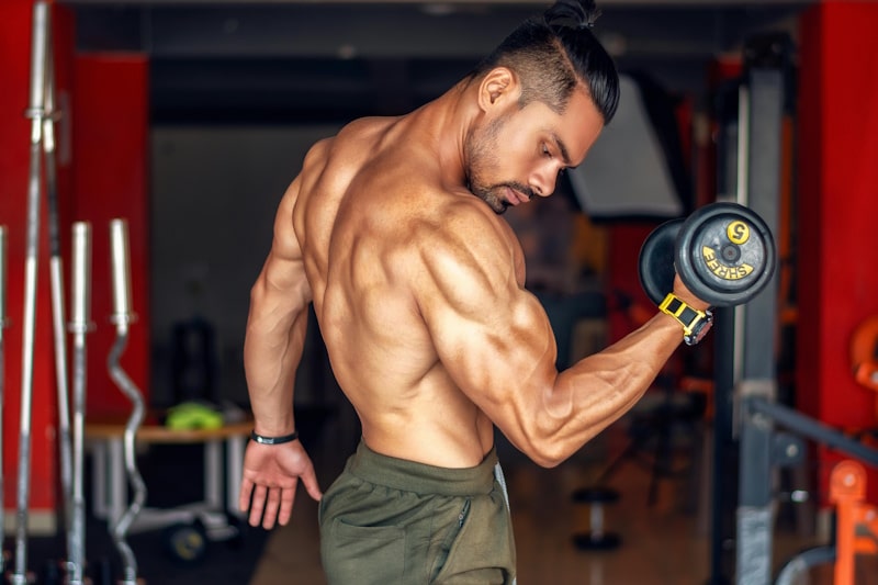 best 5 dcay workout routine