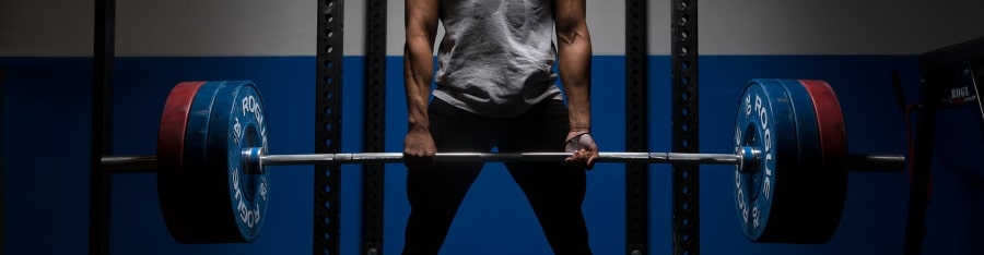 the phat workout routine by layne norton